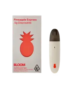 BLOOM Pineapple Express Classic Surf Disposable – .5g
