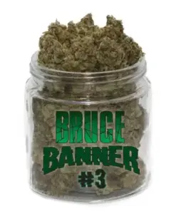 Bruce Banner #3