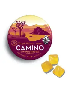 Camino Pineapple Habanero “Uplifting” Gummies