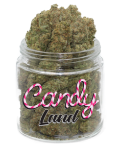 Candyland
