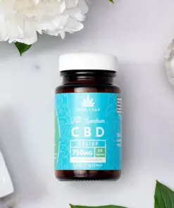 CBD Oil Tincture Coconut