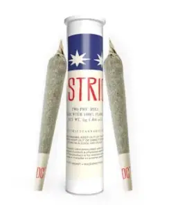 District Cannabis | Devil Driver Hash-Infused Pre-Roll Pack 2ct