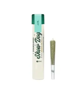Dogwalkers Rainbow Zlushie Infused Single Pre Roll