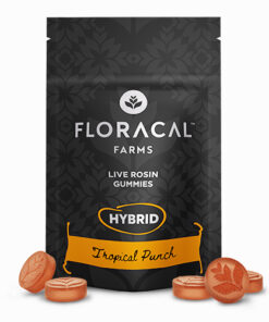 FloraCal Hybrid Live Rosin Tropical Punch Gummies