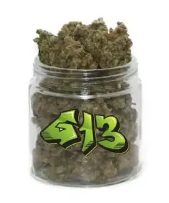 G13