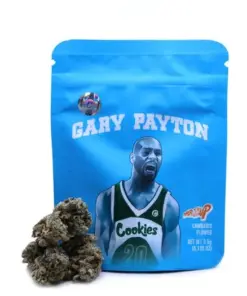 Gary Payton (Indoor)