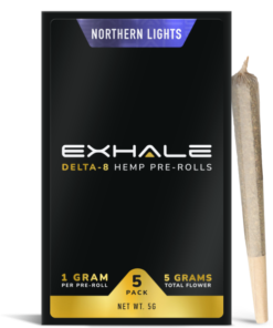 NORTHERN LIGHTS (5-PACK)