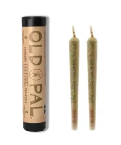 Old Pal | Apple Fritter – 2 Pack Pre Rolls