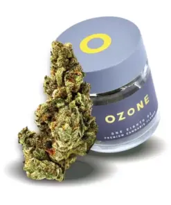 Ozone Ozone Garlic and Bananas Flower