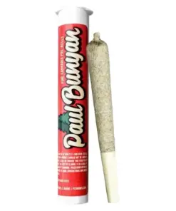 Paul Bunyan | Panama MAC #5 Pre Roll